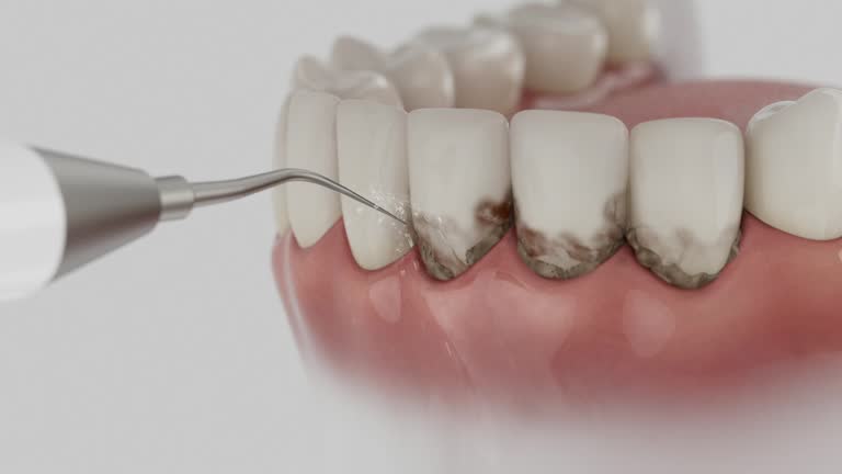 Reliable Dental contractor in St. Louis, MO by Dentist Open Now